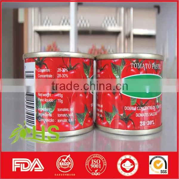 Tomato Paste in Cans and Drum photo-5