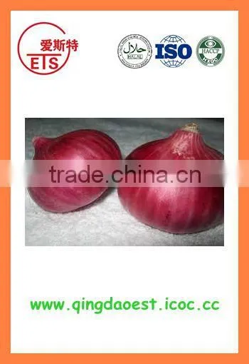 Fresh New Crop Red Onion From China photo-4
