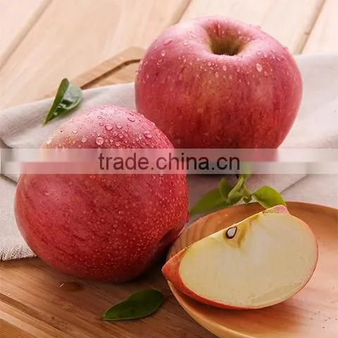 Wholesale Competitive Price Fresh Red Qinguan Apple Exporter in China