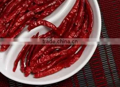 Dry Red Chili