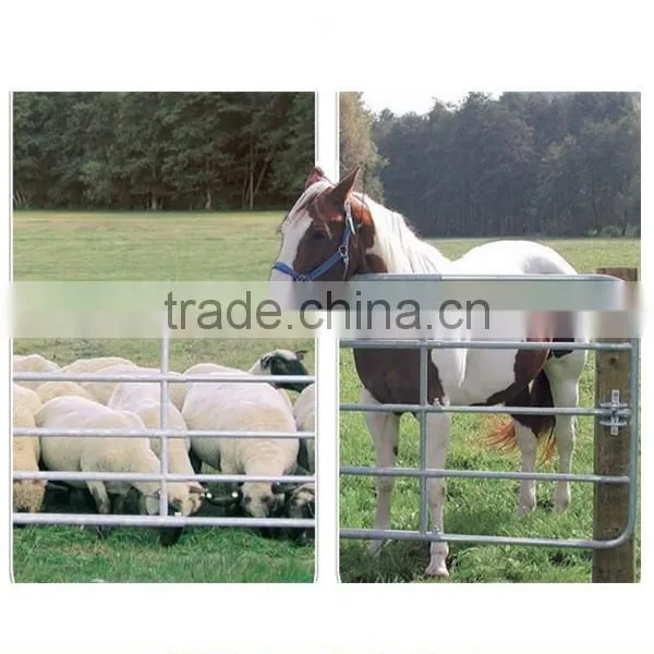 Hot Dipped Galvanized Livestock Metal Fencing Panel Cattle Fence Panle Horse Fencing Panel photo-2