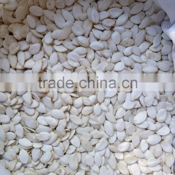 Pumkin Seed Kernels Shine Skine-grade AA photo-4