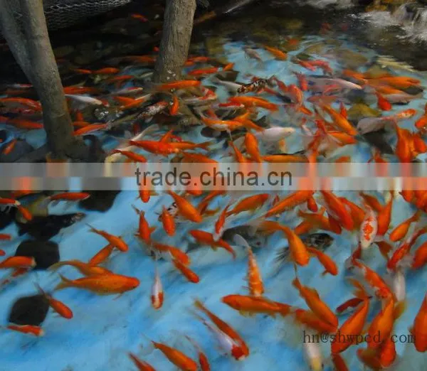 Super Floating Fish Feed Pellet Machine/fish Feed Pellet Extruder Machine photo-5