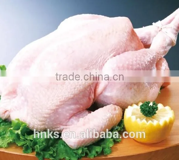 Slaughtering Use Plucker Turkey Paw Machine Chicken Processing Machine photo-5