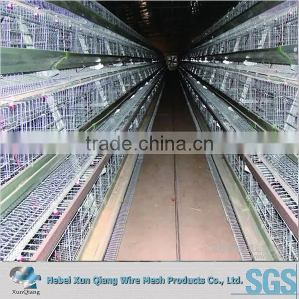 High Quality Bird Chicken Layer Cage photo-2