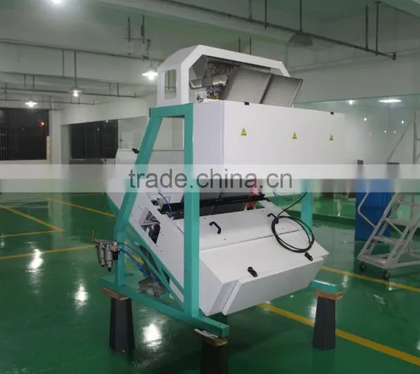 High Productivity 2 Chutes Garlic Cloves Intelligent Ccd Camera Color Sorter Machine photo-5