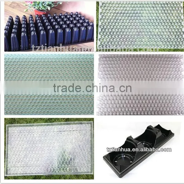 PVC Plastic Seedling Tray Molding Machine photo-3
