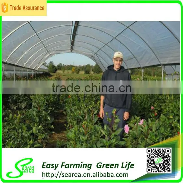 Searea Single Tunnel Greenhouse photo-2