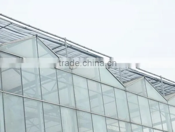 Large Used Commercial Glass Agricultural Greenhouses photo-2