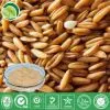 Avena Sativa Extract