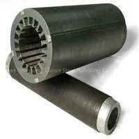 Pump Stator and Rotor