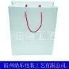 Paper Garment Bag