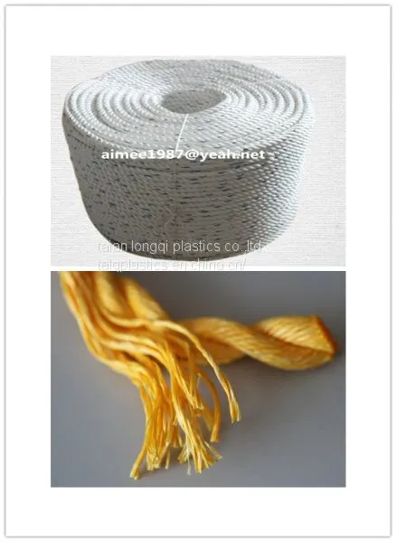 pp Danline Rope pe Rope 14mm Blue and White photo-5