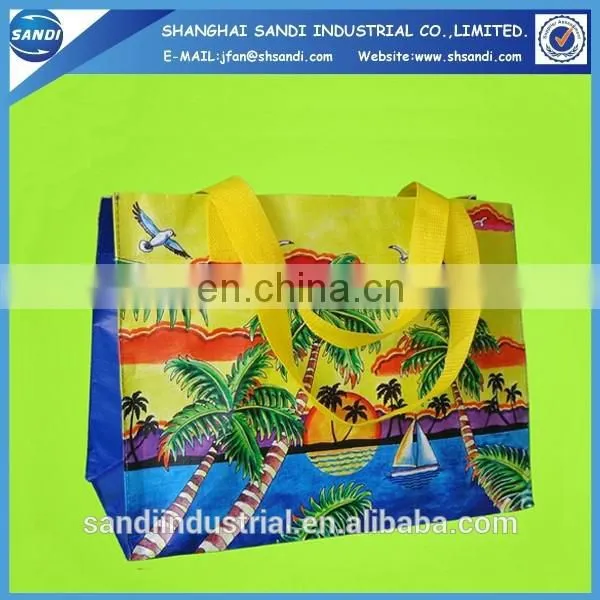 LOGO Printing Promotional Plastic pp Woven Shopping Bag photo-5