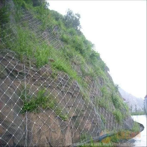 China Supplier Barbed Wire Fence for Protecting Slope Against Falling Stones photo-2