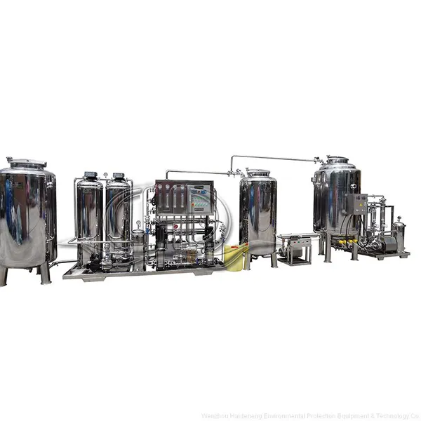 Customized Injection Water Automatic Two-stage Reverse Osmosis Water Purification Equipment Ro Water System With Sterile Heater