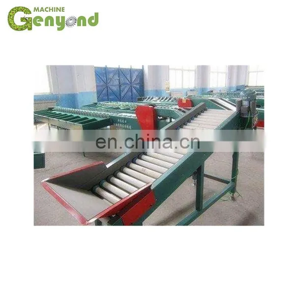 Potato Washing/drying/sorting/grading Machine photo-4