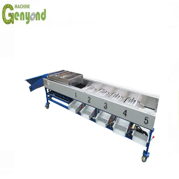 New Offer Prune Sorting Machine photo-4