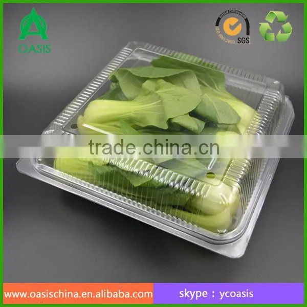 Clear Palstic Clamshell Boxes for Vegetable Packing Pet photo-2