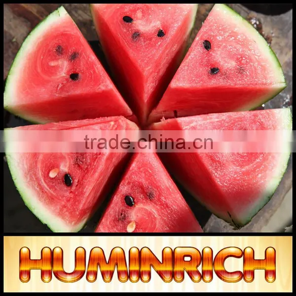 Huminrich 65% HA 100% Water Soluble Organic Fertilizer Sodium Humate Shiny Flake photo-2