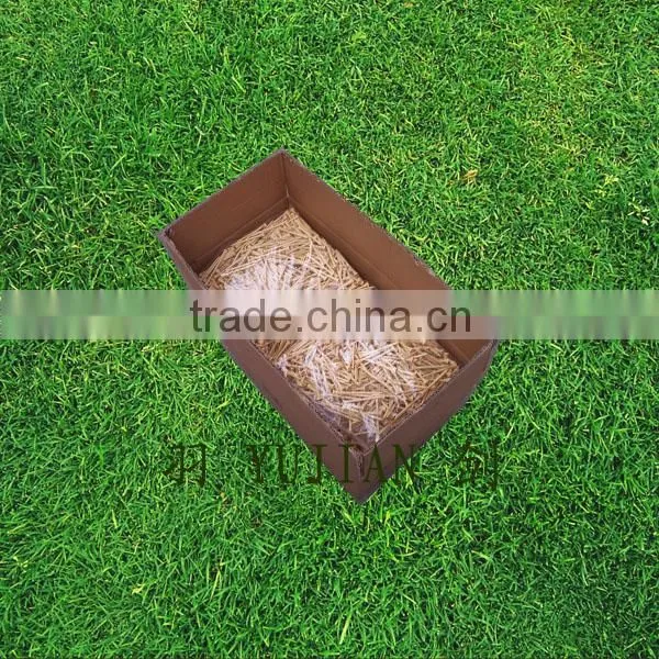 Carton Packing photo-3