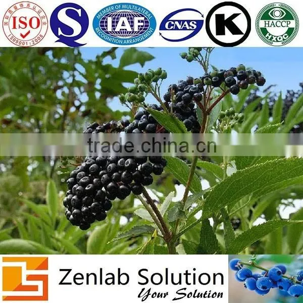 Anthocyanins Elderberry Extract photo-3