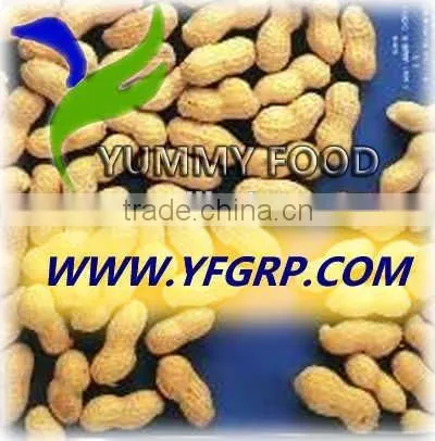 Raw Peanuts in Shell/Groundnuts in Shell for Sell photo-3