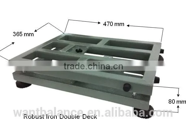 300kg Scale Model photo-5