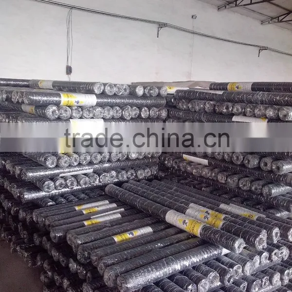 1'' Hole Weaving Hexagonal Wire Mesh photo-5