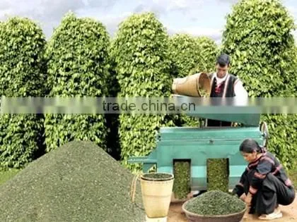VIET NAM WHITE PEPPER 630g/l Good Price (Viber/Whatsaap: 0084965152844) photo-2