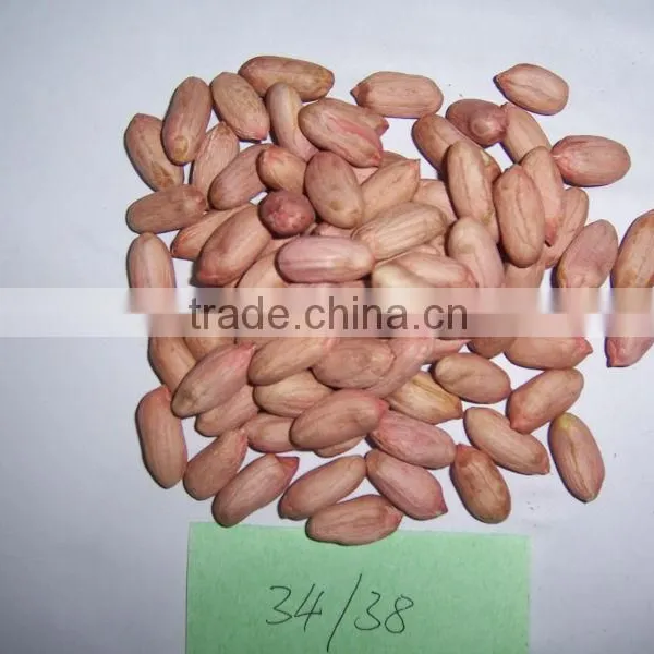 Cheap Price of Peanuts photo-3
