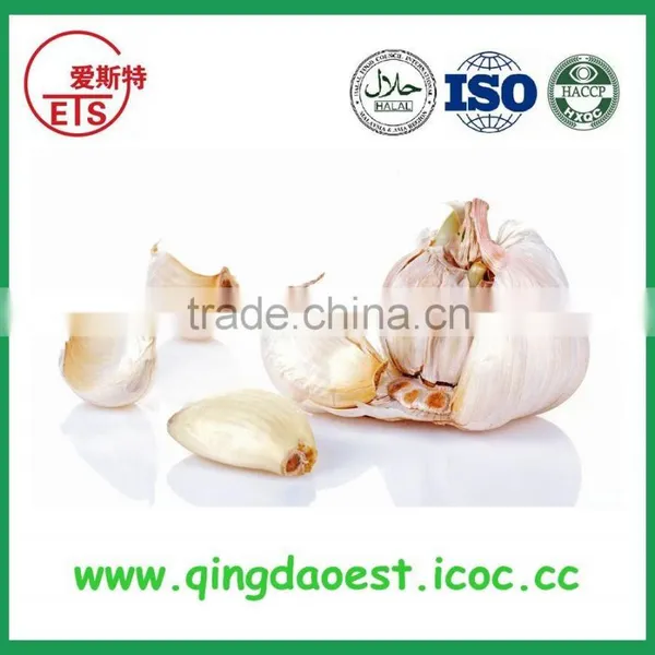 Jinxiang Fresh Best Price Normal White Garlic on Sale photo-3