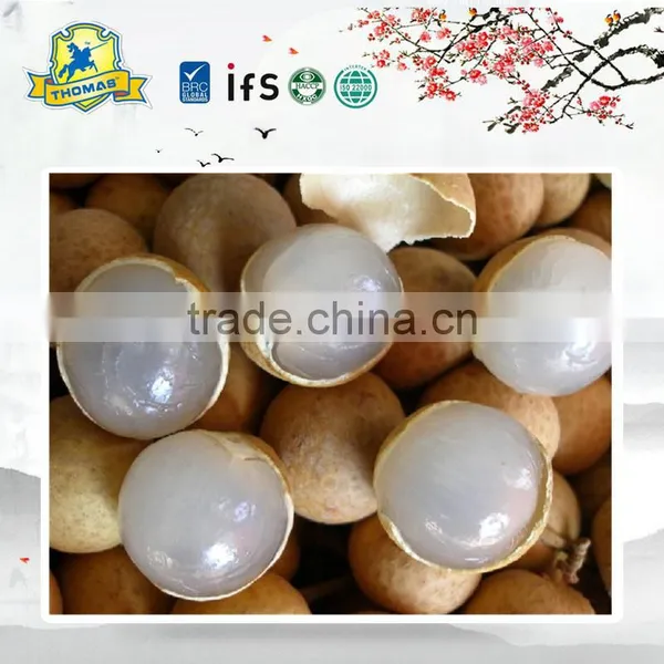 Fruit Tropical Canned Longan in Syrup