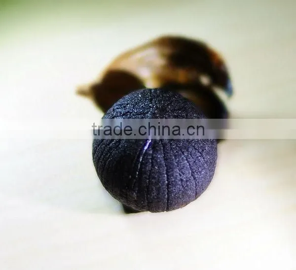 Healthy Yuyuan Black Garlic From Japanese photo-2