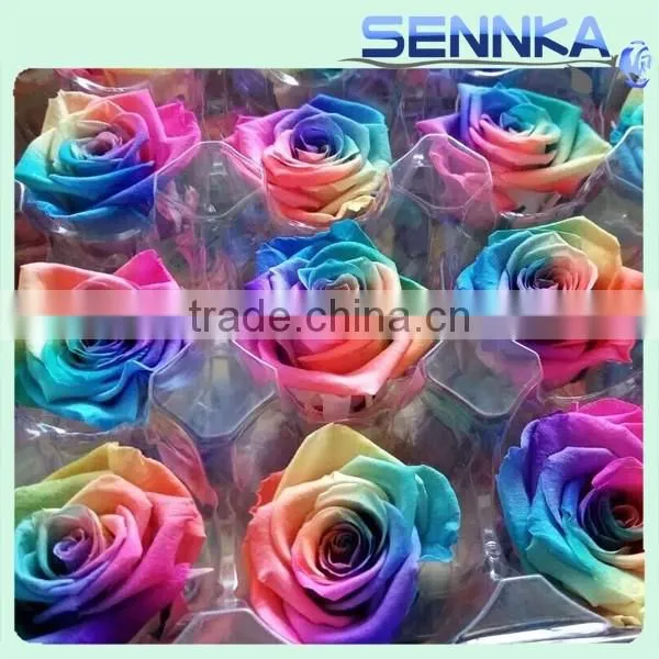 Multicolor Preserved Rose Rainbow Roses Real Touch Preserved Rose photo-4