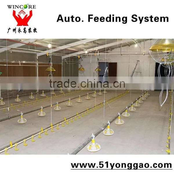 Hot Salling Poultry Feeding System for Automatic Poultry Farming Equipment for Chickens photo-5