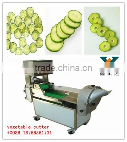 Fruit and Vegetable Slicing ,cutting and Dicing Machine