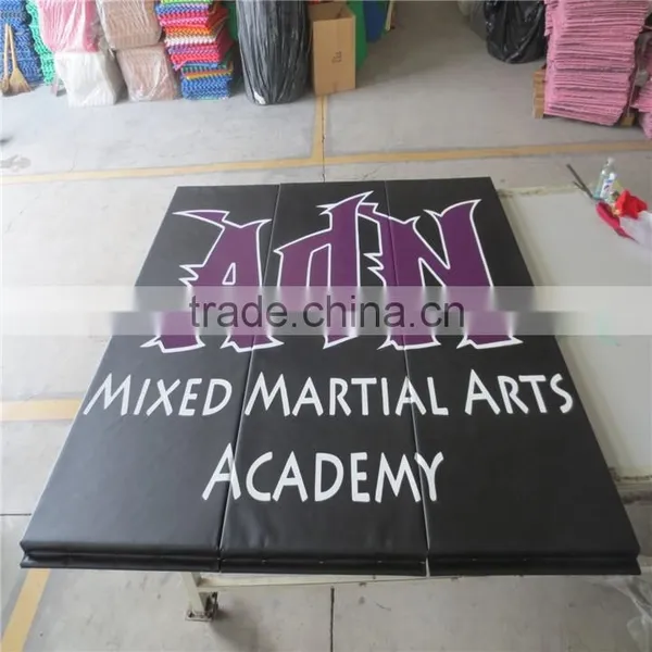 Wall Pad for Gymnastics Room