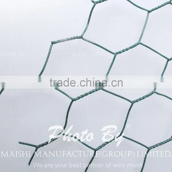 Gabion Basket for Chicken photo-4