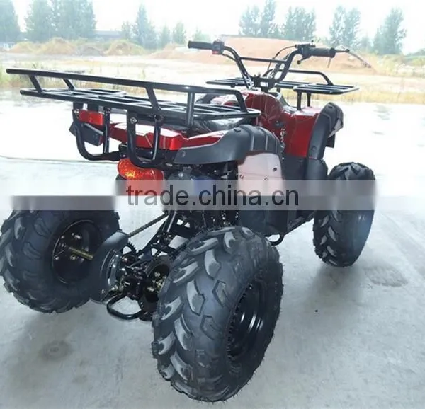 Small Beach Buggy Truck For Young Man Race On Beach