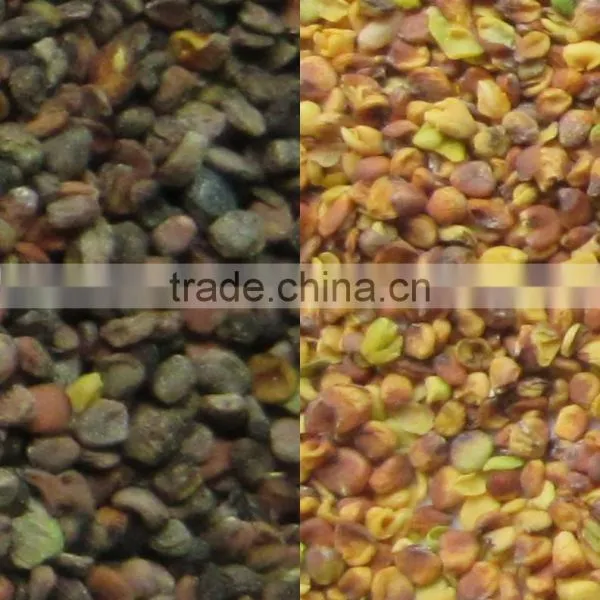Engineer Oversea Service Available Vegetable Seeds Color Optical Sorter photo-4