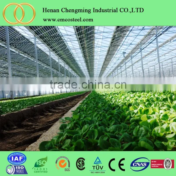 Single Tunnel Polycarbonate Sheet Vegetable Greenhouse From CHINA photo-4