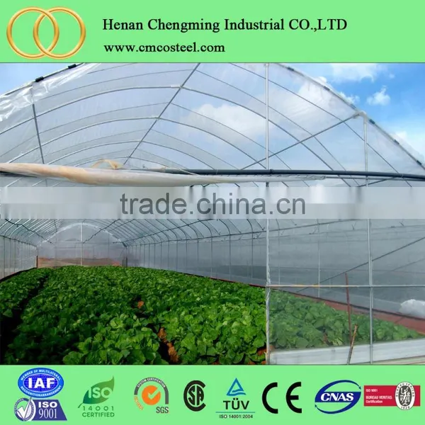 8m Width Multi-span Plastic Film Tunnel Vegetable Greenhouses for Sale photo-4