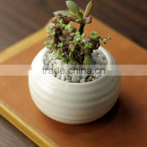 New Design Indoor Glazed White Mini Ceramic Planter photo-2