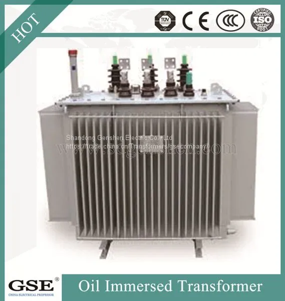 Oil Immersed Saving Energy Transformer/Power Transformer With ISO, TUV and CE Standard photo-3