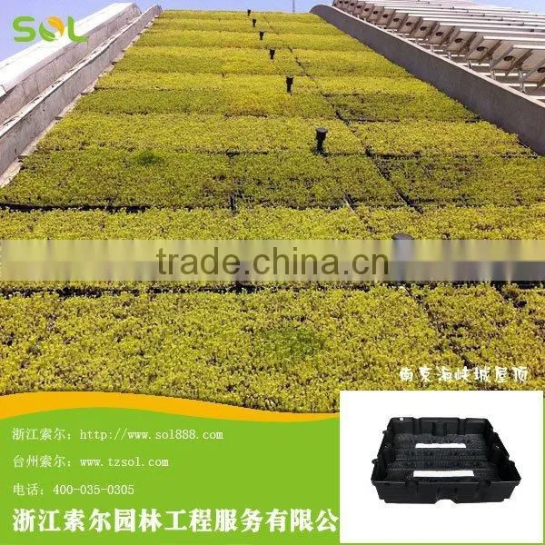 PP Plastic Black Sqaure Shaped Module for Vertical Garden Rooftop