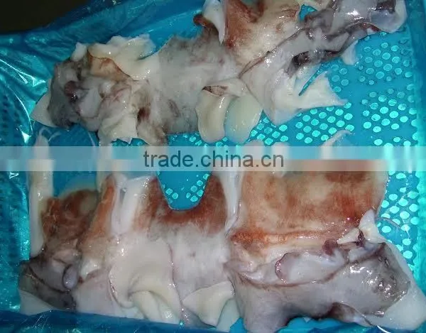 Frozen Giant Squid Raw Necks photo-3
