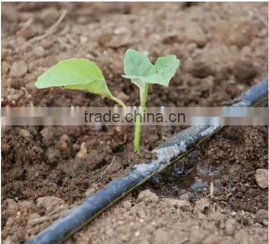 Crops Drip Tape /Plastic Dripline for Watering /plastic Drip Tubes photo-6