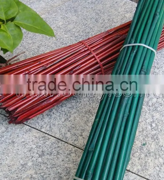 Dyed Green Bamboo Sticks for Garden&agriculture photo-4