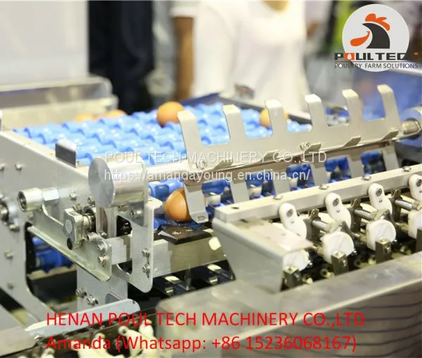 Egg Packing Machine photo-2
